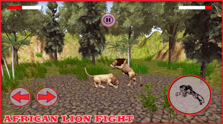 Pk African Lions Fight 2020 screenshot 0