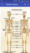 Anatomy and Physiology Systems screenshot 0