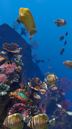 Ocean Aquarium screenshot 3