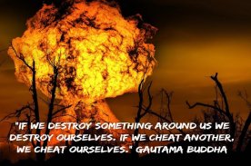 Quotes of Buddha screenshot 1