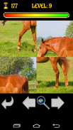 Puzzle Horses 2015 screenshot 3