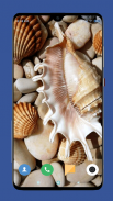 Seashell Wallpaper HD screenshot 6