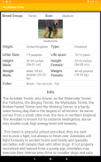 Dog Breeds Profile screenshot 0