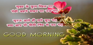 Hindi Good Morning Wishes screenshot 0