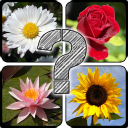 Guess The Flowers: Quiz Icon