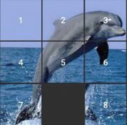 Dolphin Puzzle screenshot 1