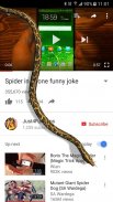 Змея на Экране шипящий Шутка screenshot 1