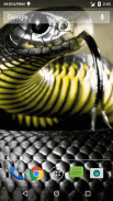 Magic Touch Cobra Attack screenshot 1