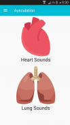Auscultation ( Heart & Lung Sounds) screenshot 0