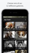 Dog images 2017 🐕 screenshot 9