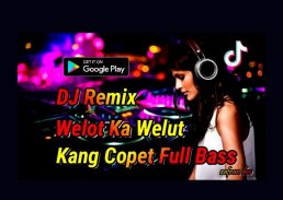 DJ Tiap Hari Bangka Dada x Welut Kang Copet Remix screenshot 1