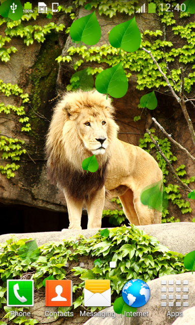 Lion Live Wallpapers | Download APK for Android - Aptoide