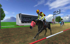 Horse Racing At Veliefendi screenshot 0