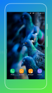 Pigeon Wallpaper screenshot 12