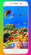 Aquarium Wallpaper HD screenshot 14