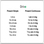 Simple Present Tenses screenshot 7