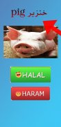 Halal or Haram? screenshot 0