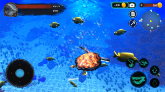 The Turtle screenshot 17