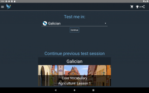 Galician Language Tests screenshot 1