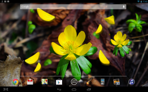 Spring Flower LWP screenshot 2