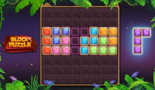 Block Puzzle 2020: Funny Brain Game screenshot 19