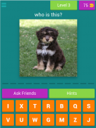 dog breeds quiz screenshot 11