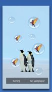 Penguin Live Wallpaper screenshot 3