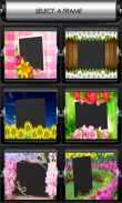 الزهور إطارات الصور screenshot 1