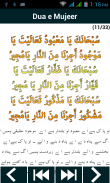 Dua e Mujeer (دُعَاۓ مُجیر) screenshot 6