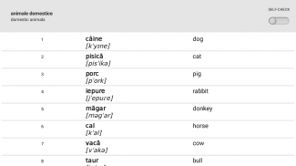 Learn Romanian words with ST screenshot 19