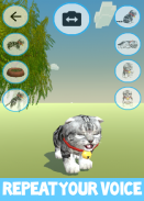 Talking Cat screenshot 5