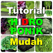 Tutorial Hidroponik Mudah screenshot 8