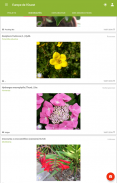 PlantNet Identification Plante screenshot 5