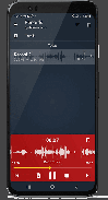 Audio Recorder and Player Free Fast Crystal clear screenshot 4