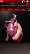 Circulatory System 3D Anatomy screenshot 16