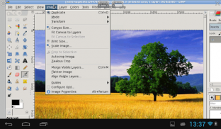 XGimp editor de imagine screenshot 0