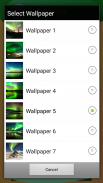 Northern Light Live Wallpapers screenshot 7