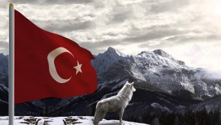 Turkey Flag Wallpapers screenshot 10