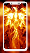 Phoenix Wallpapers screenshot 4
