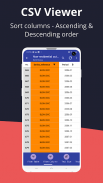 CSV File Viewer screenshot 12