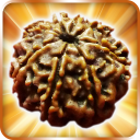 Rudraksha Icon