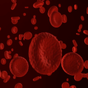 Blood Cells Live Wallpaper