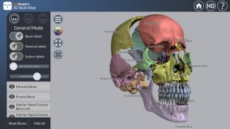 3D Skull Atlas screenshot 3