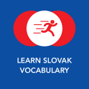 Tobo: Vocabulário Eslovaco Icon