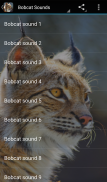 Bobcat Sounds screenshot 0