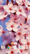 Sakura Wallpaper screenshot 7