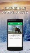 Daily Animal Facts and Pics screenshot 5