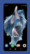 Betta Fish Wallpaper HD screenshot 11