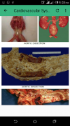 Practical Pathology screenshot 1