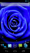 Blue Rose Live Wallpaper screenshot 1